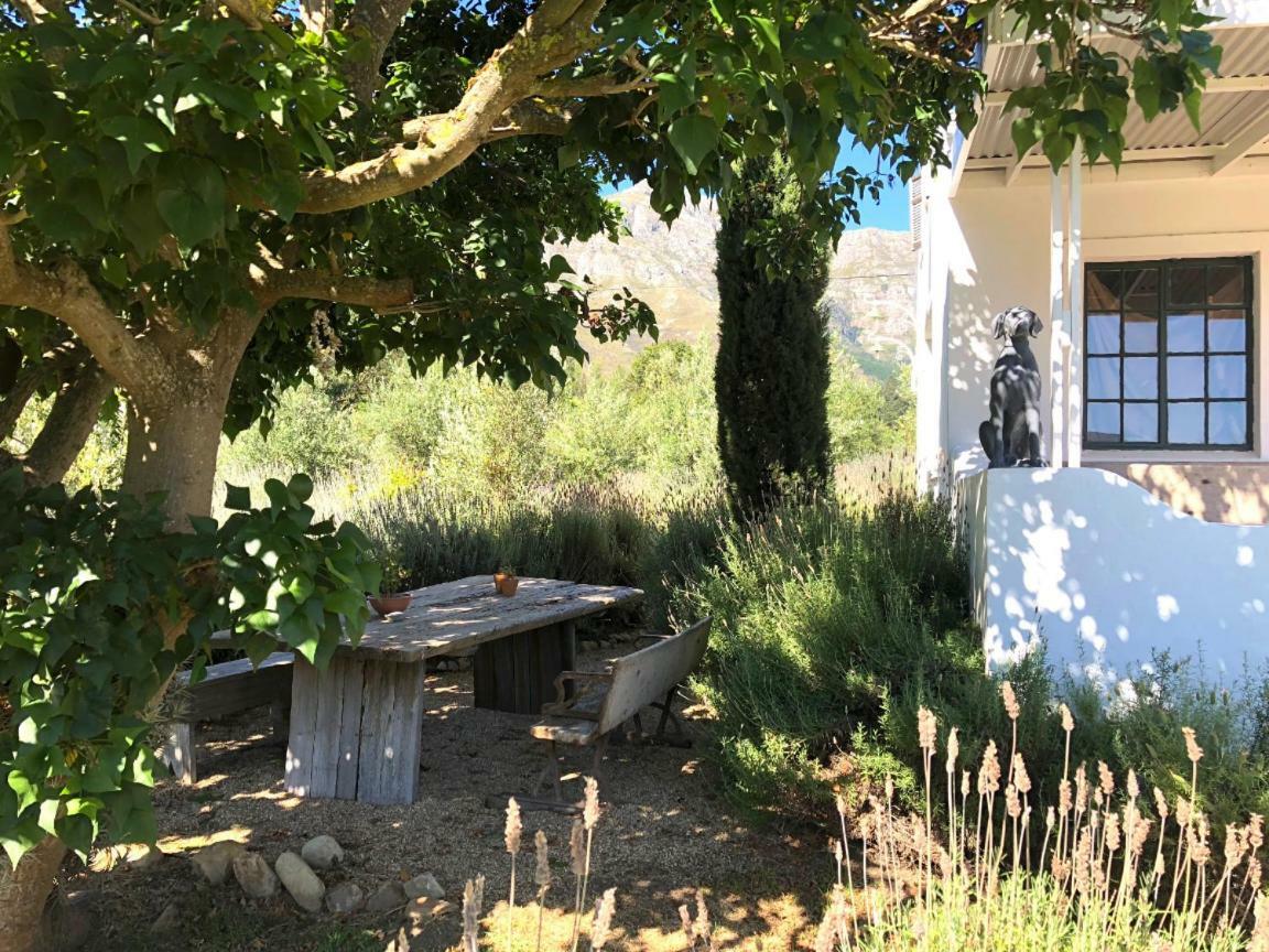Designer Farm Cottage On Farm Franschhoek Kültér fotó